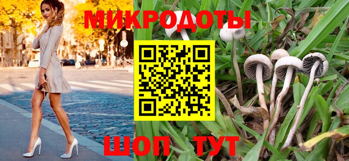 где можно купить наркотик  Вход с VPN  Донской  Галлюциногенные грибы GOLDEN TEACHER 